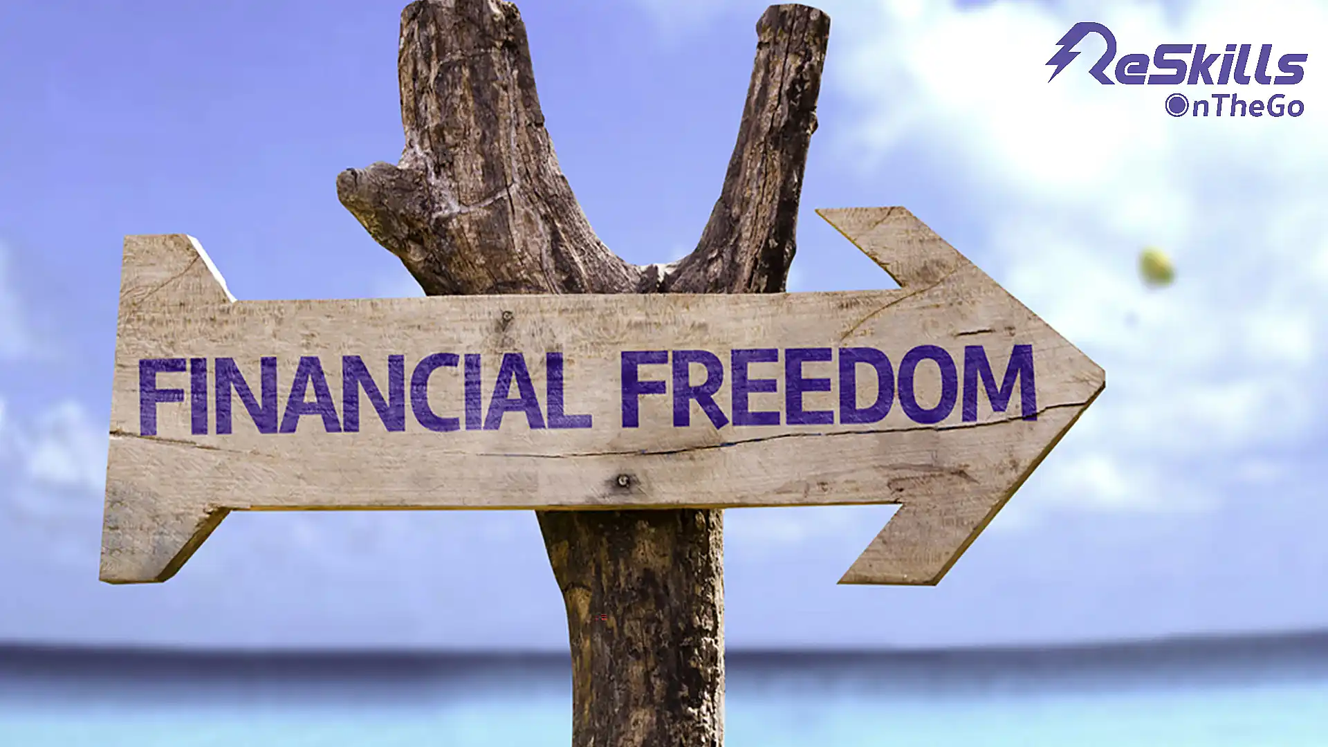 Financial Freedom Roadmap - ReSkills