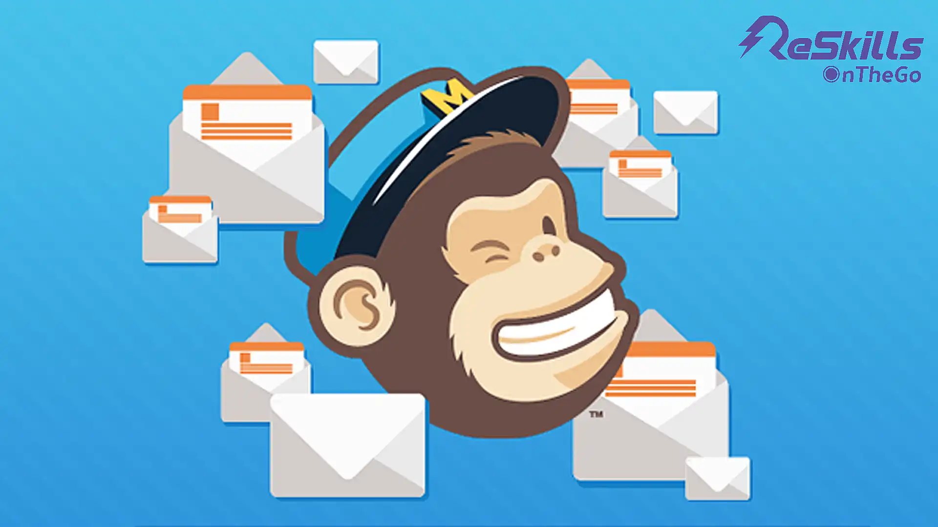 Email Marketing Dasar dengan menggunakan Mailchimp - ReSkills